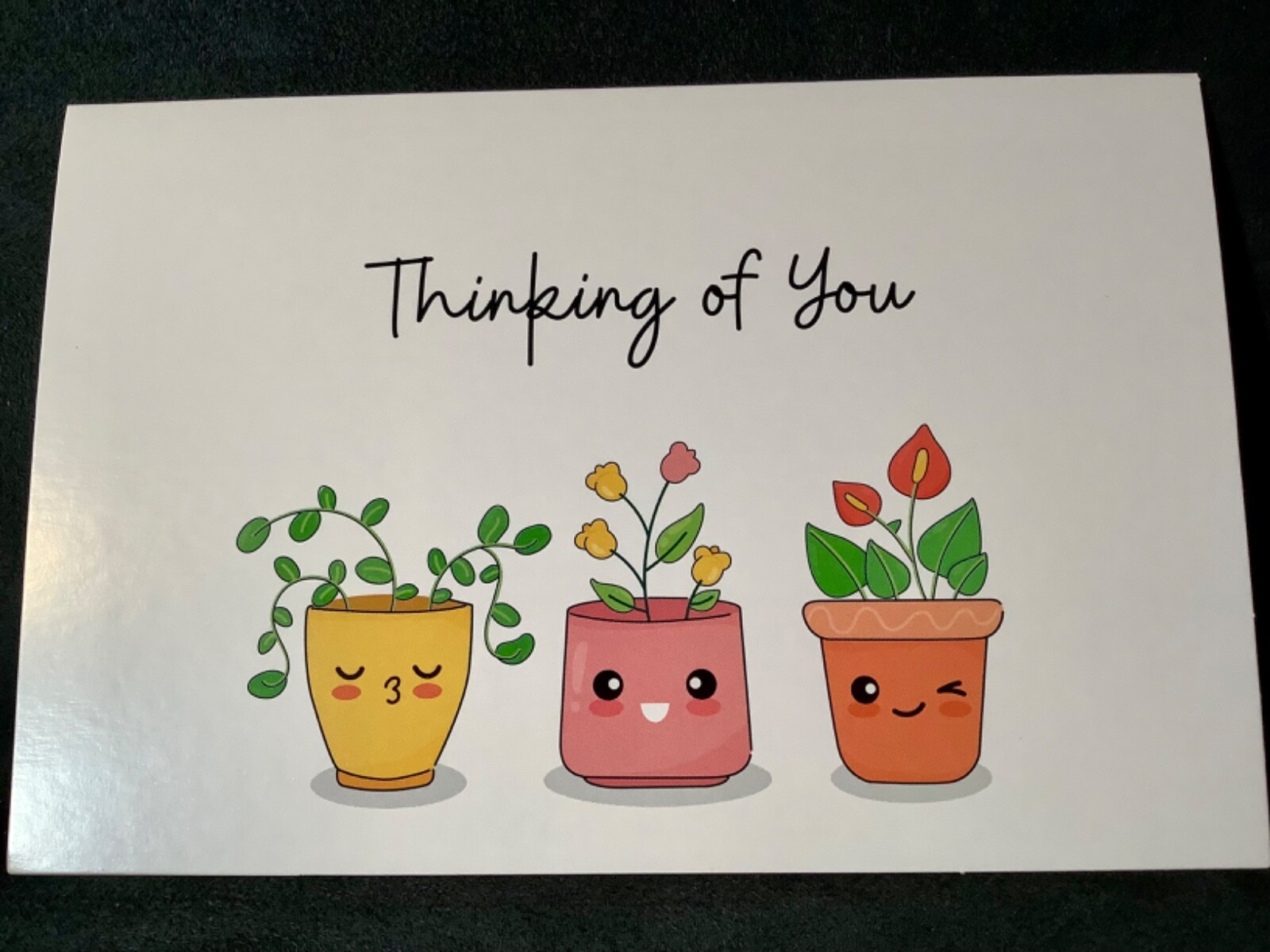 Thinking of You Encouragement Greeting Card Sweet Potted Flowers Message