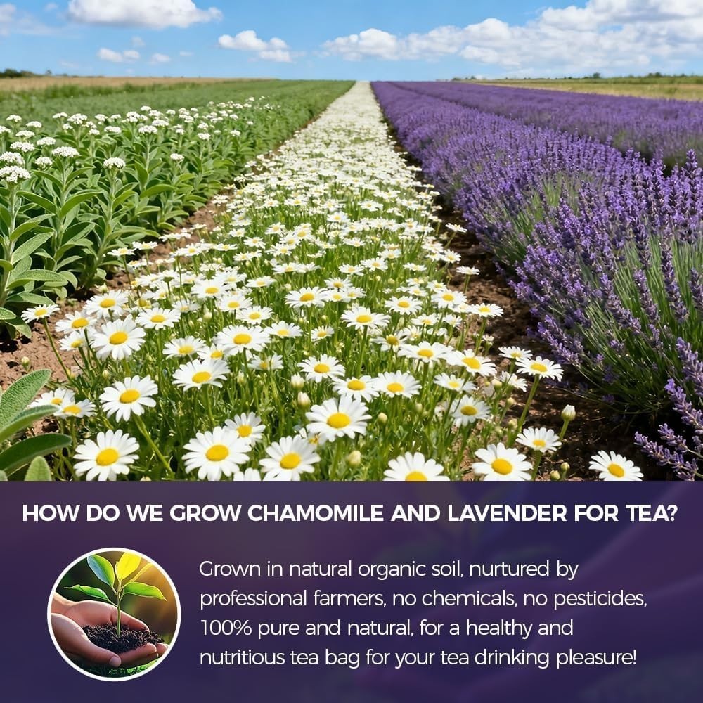 WOTIHA 60 Count Premium Chamomile Lavender Tea Bags – 100% Pure Flowers, Soothin