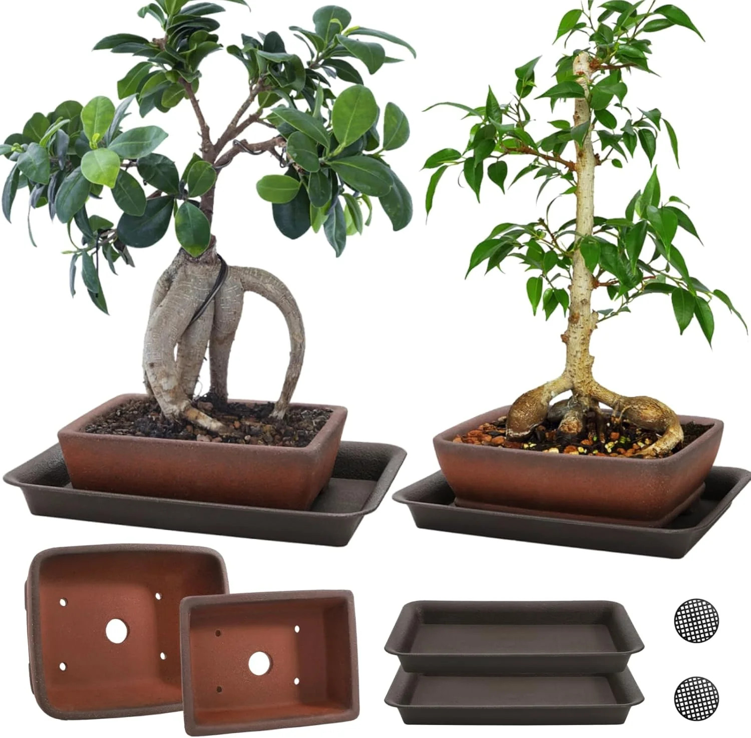 2 Pack Ceramic Bonsai Pots with Drainage Tray, 6″ and 7″ Unglazed Rectangle Bons