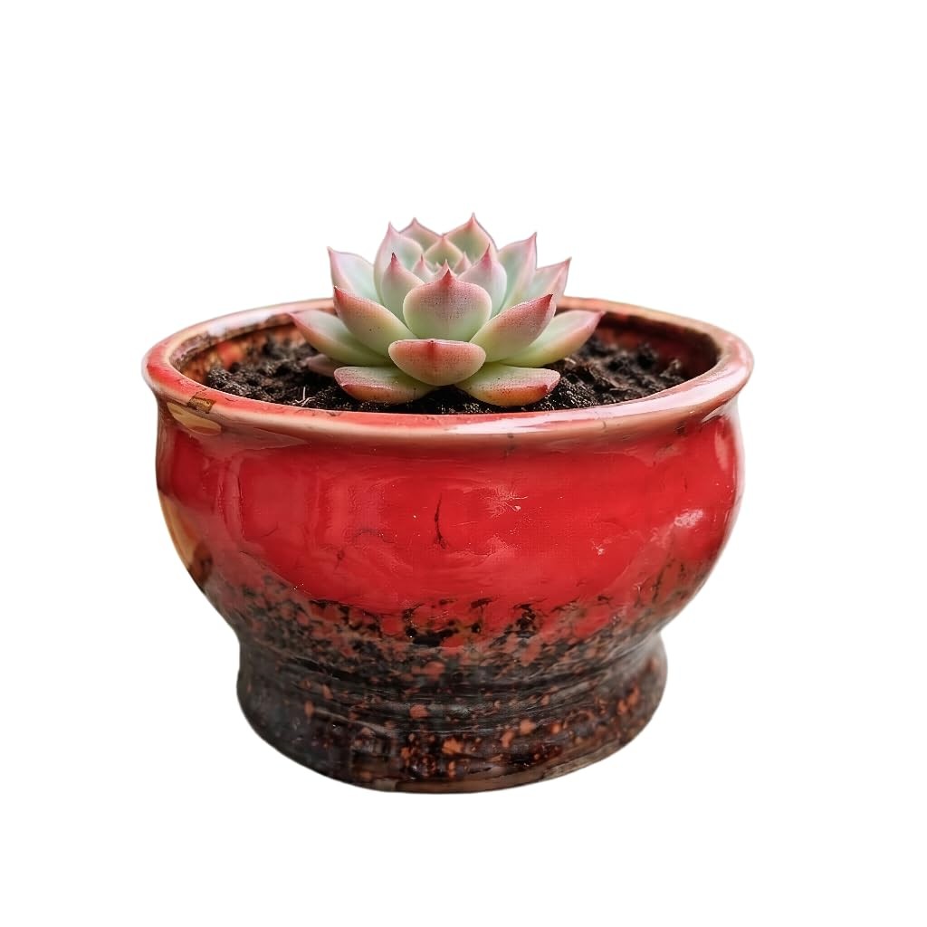 “4.3Inch Circular Ceramic Flower Pots for Succulents and Cacti No Tray”