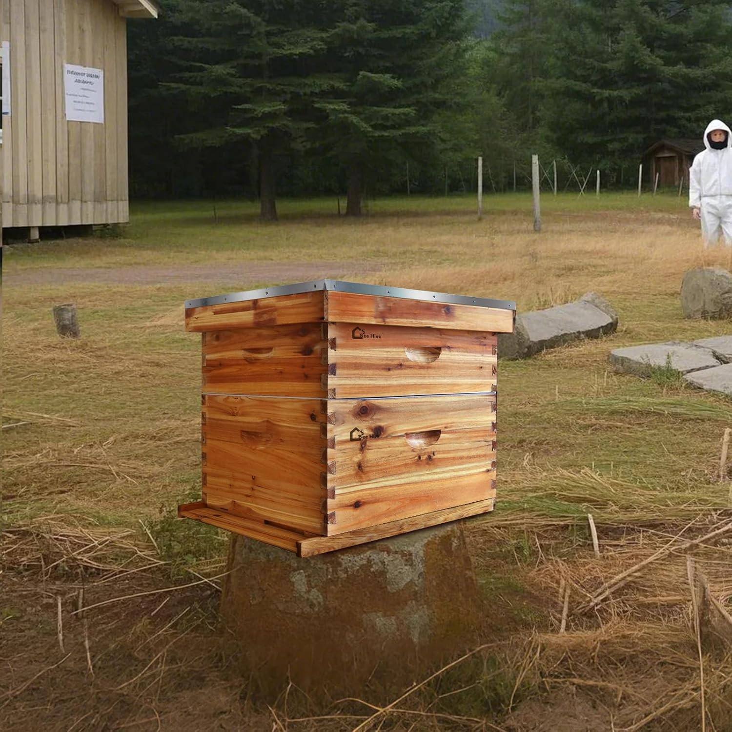 10 Frame Deep Brood Box, Langstroth Beehive Box Dipped in 100% Beeswax, Bee Hive