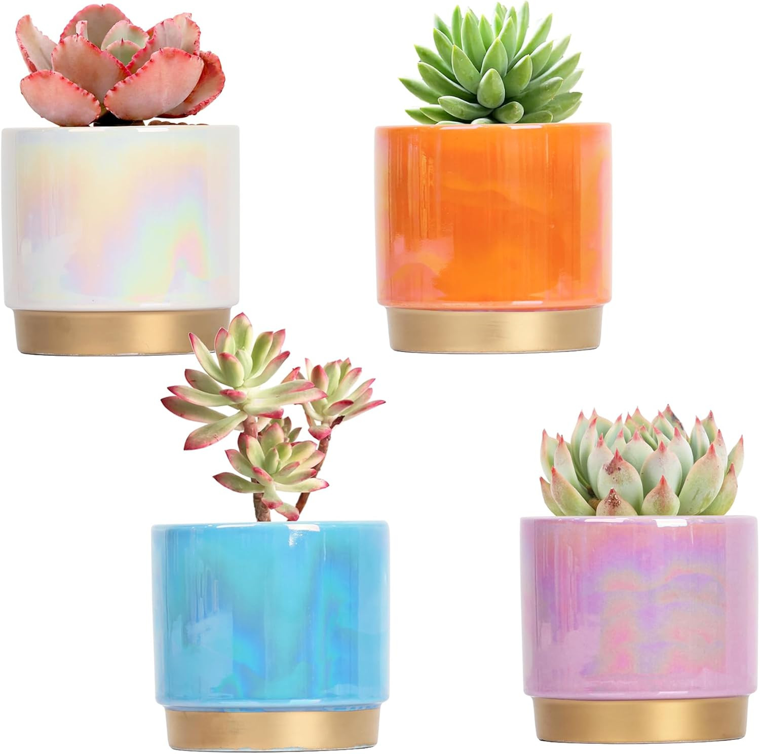 Gepege Succulent Pots for Plants, Succulent Planter with Drainage Holes, Ceramic