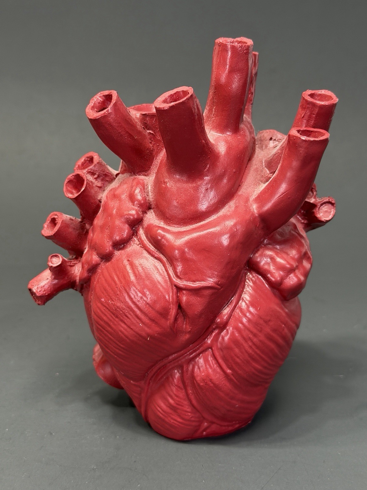 HOLLOW ANATOMICAL HEART VASE 5 1/2” TALL GOTHIC DECORATION. ROSE / BLOOD RED.
