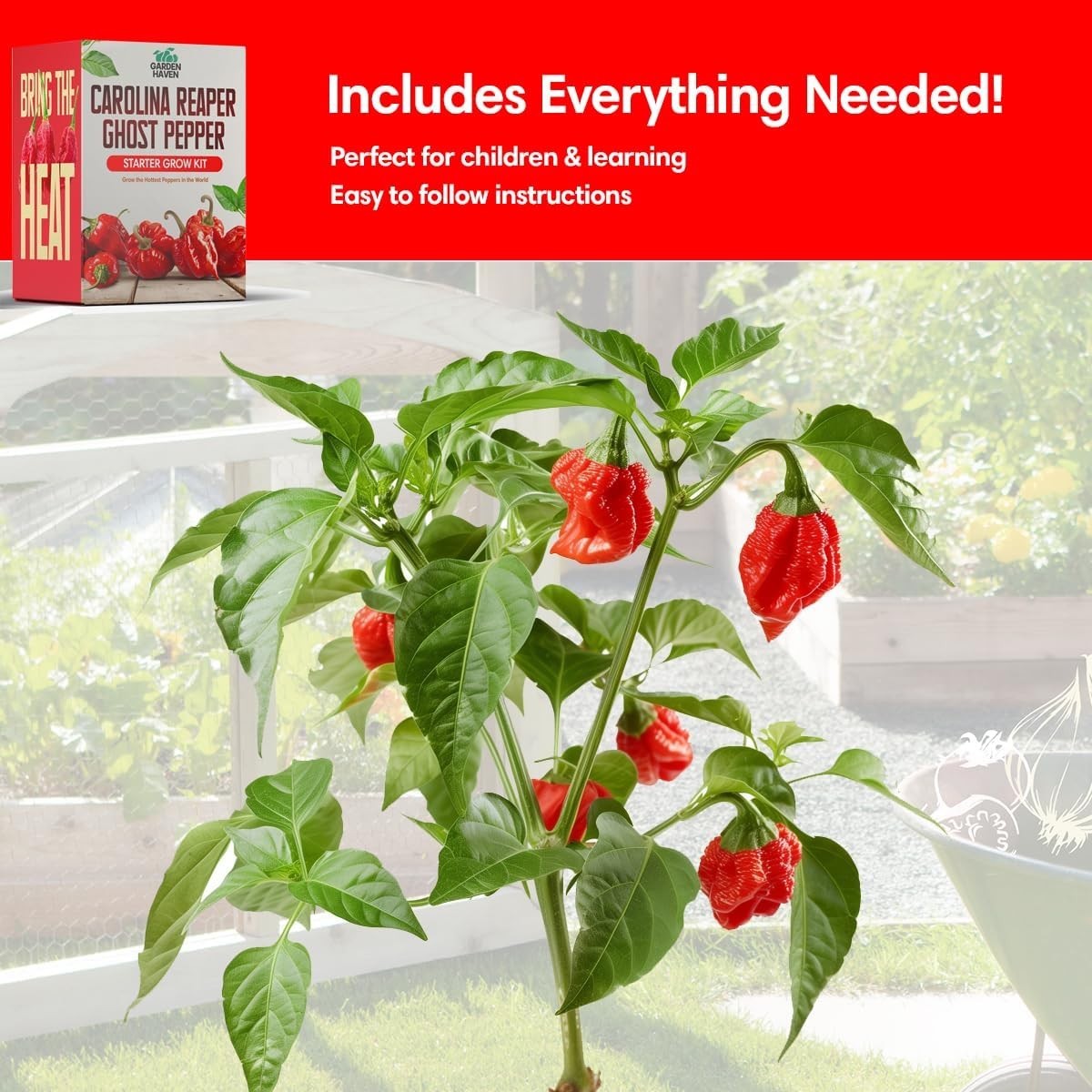Carolina Reaper & Ghost Pepper Grow Kit – All in One Starter Grow Kit