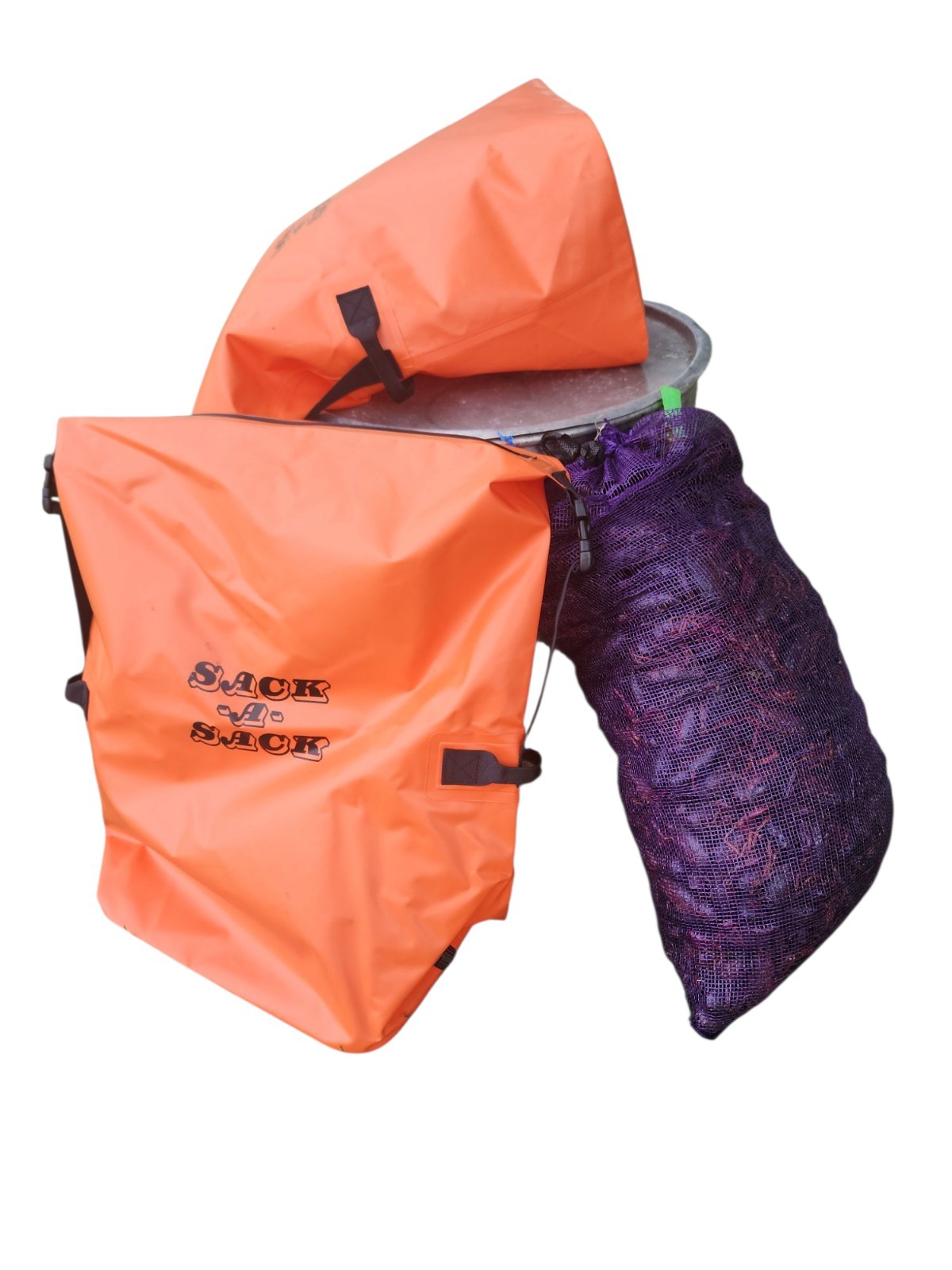 SACK-A-Sack baggage