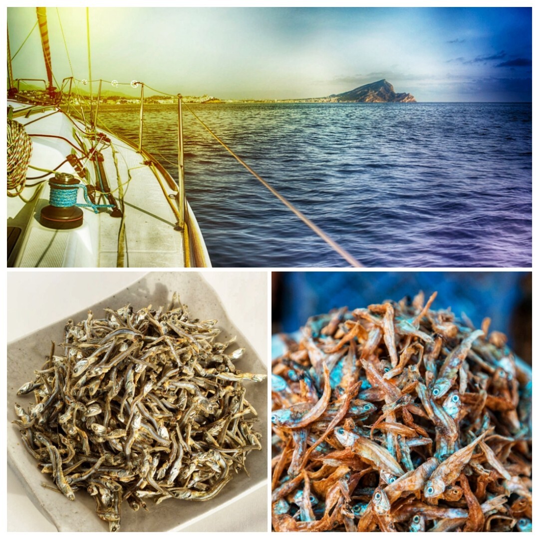 Dry Fish Dried Anchovies Dried Seafoods 100g – 1kg Free Shipping Worldwide