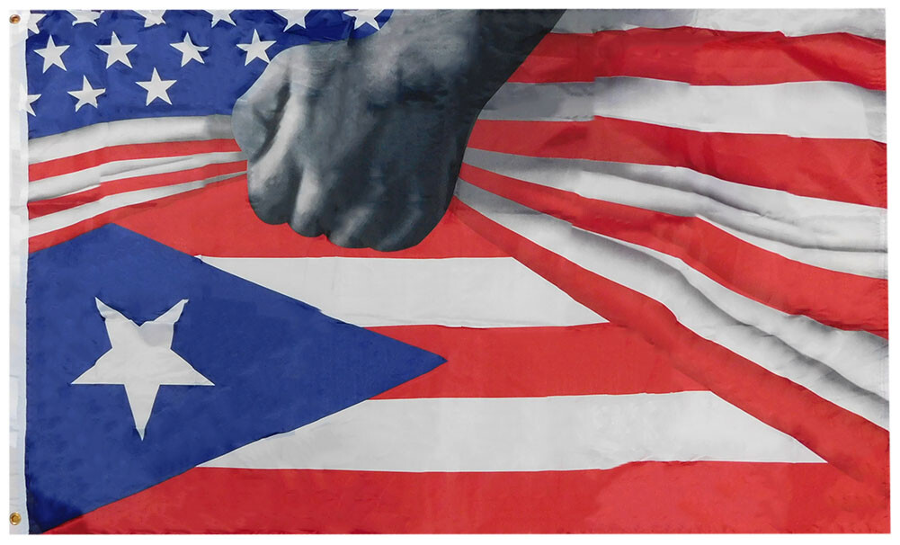 3×5 USA American Puerto Rico Reveal 3’x5′ 68D Woven Poly Nylon Flag Banner