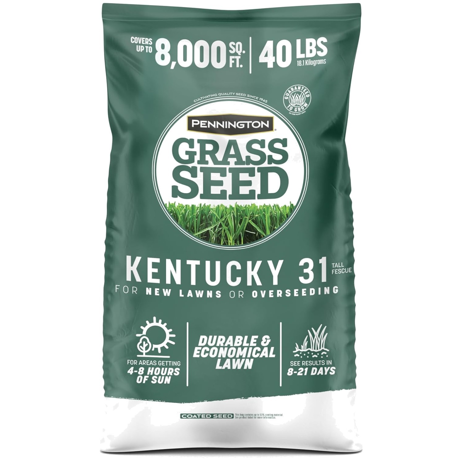 Kentucky 31 Grass Seed – 8,000 sq. ft. Coverage