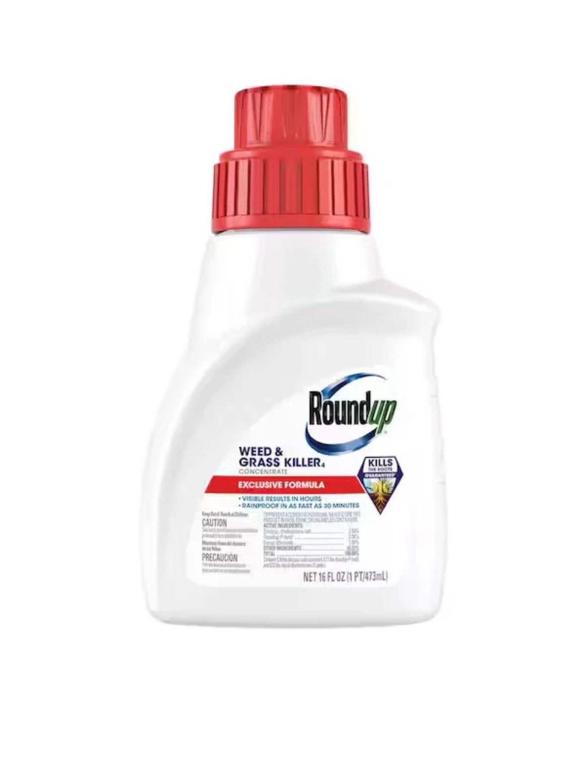 Roundup Concentrate 16 Fl Oz