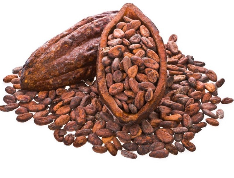 Pure Cacao Beans Cocoa Raw Premium Whole Chocolate Beans Cocoa Hand Harvest