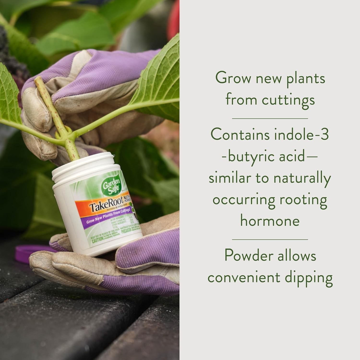 2 Pack Garden Safe Takeroot Rooting Hormone, Plants Growth Powder – 2 Oz