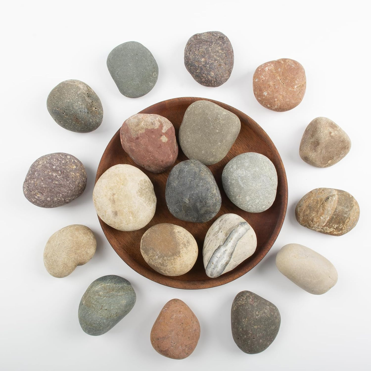 40 LBS Natural Pebbles – 1-2 Inch Natural River Stones, Screened Decorative Rive