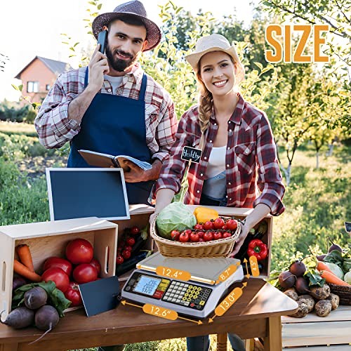 Price Computing Scale 66 lb Commercial Food Produce Scale for 66lb/30kg