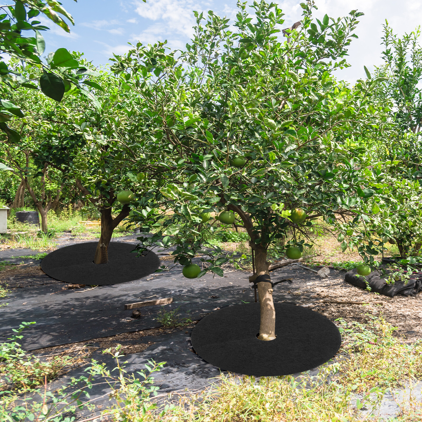 6 Pack Tree Cover Ring,24.4 Inch Tree Protector,Apply to Weed Fabric,Black