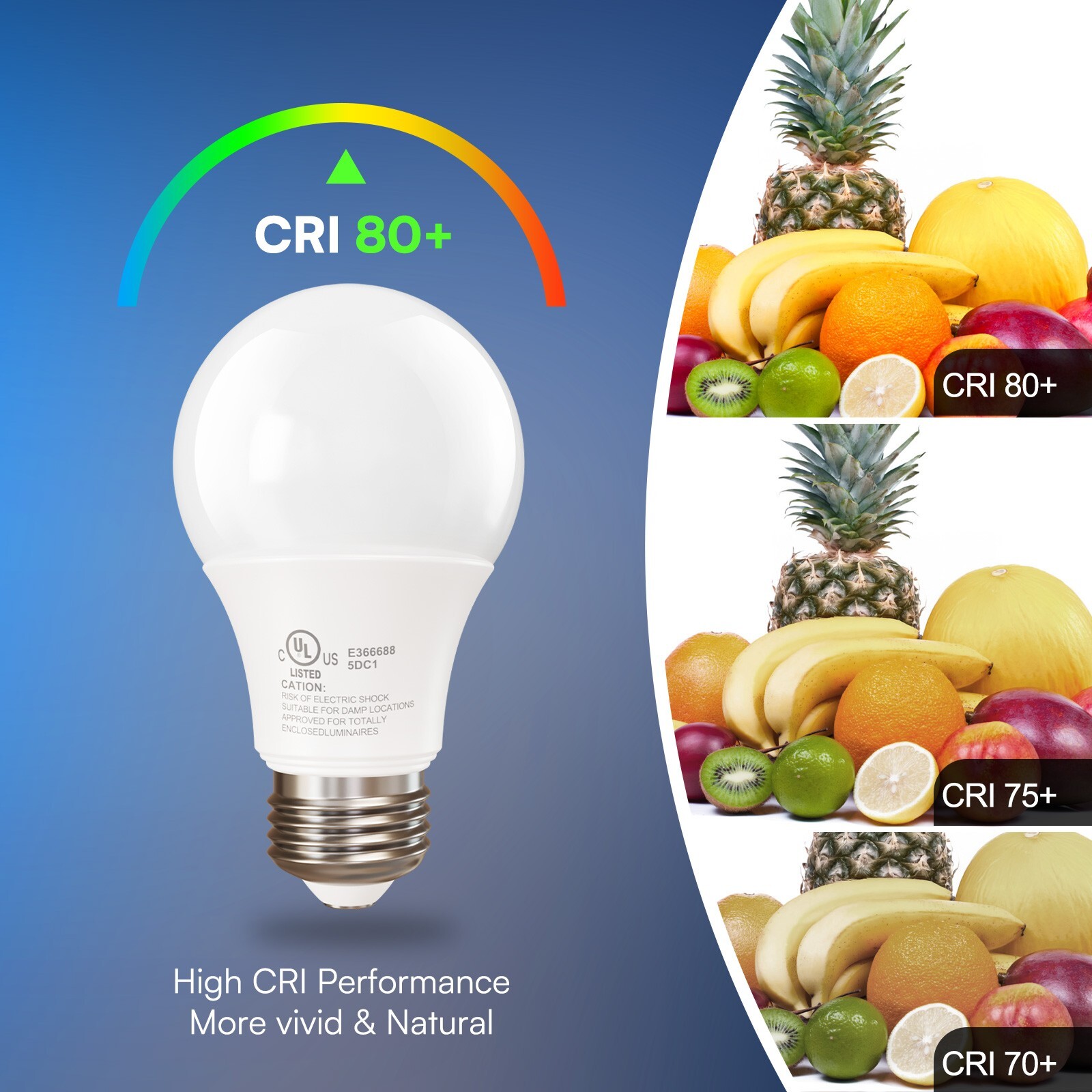 12 Pack A19 100W Equivalent Light Bulbs 1500LM 5000K Daylight E26 Non-Dimmable