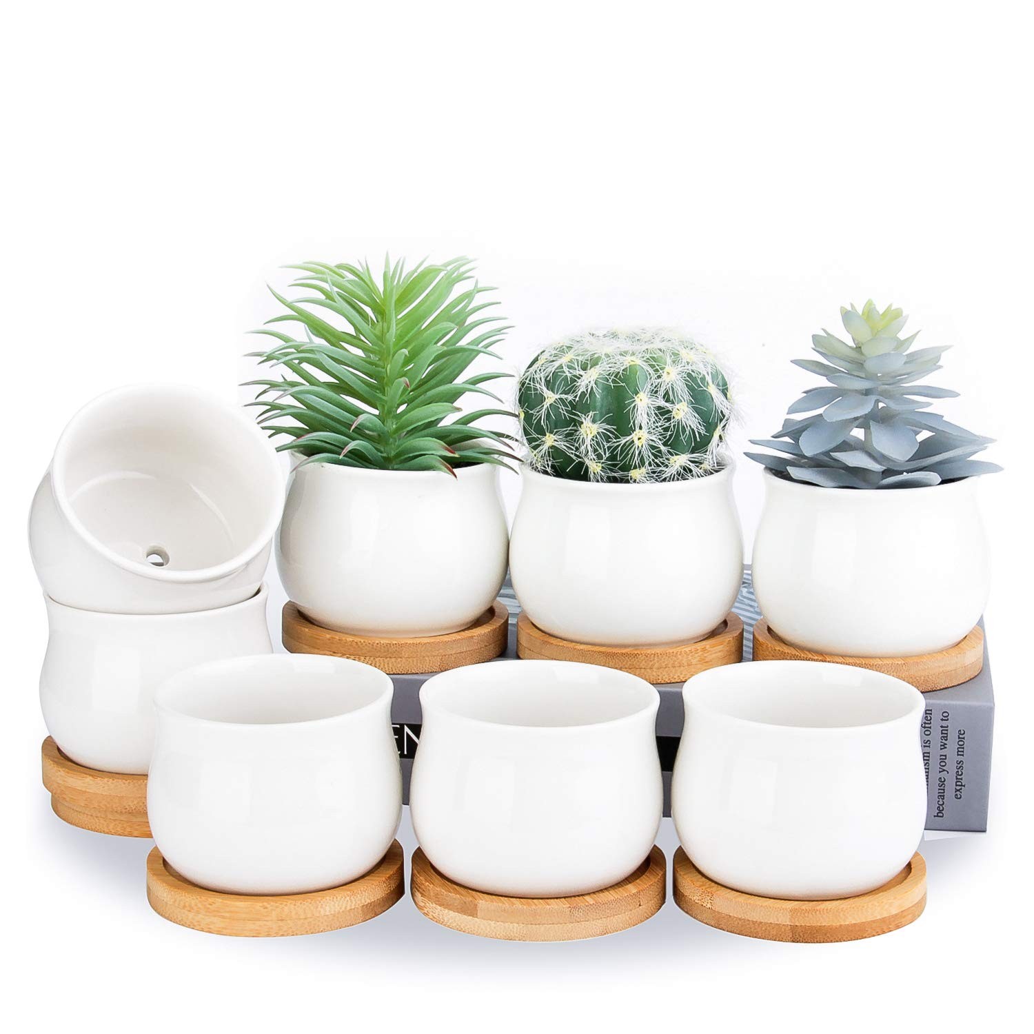 8 Pack 2.6in Ceramic Succulent Pots w/ Bamboo Tray White
