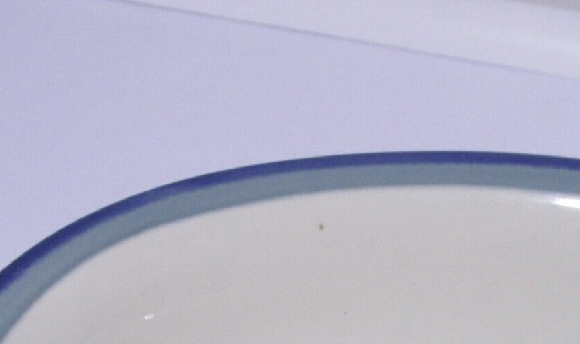 Pfaltzgraff Northwinds 10″ Oval Serving Bowl USA