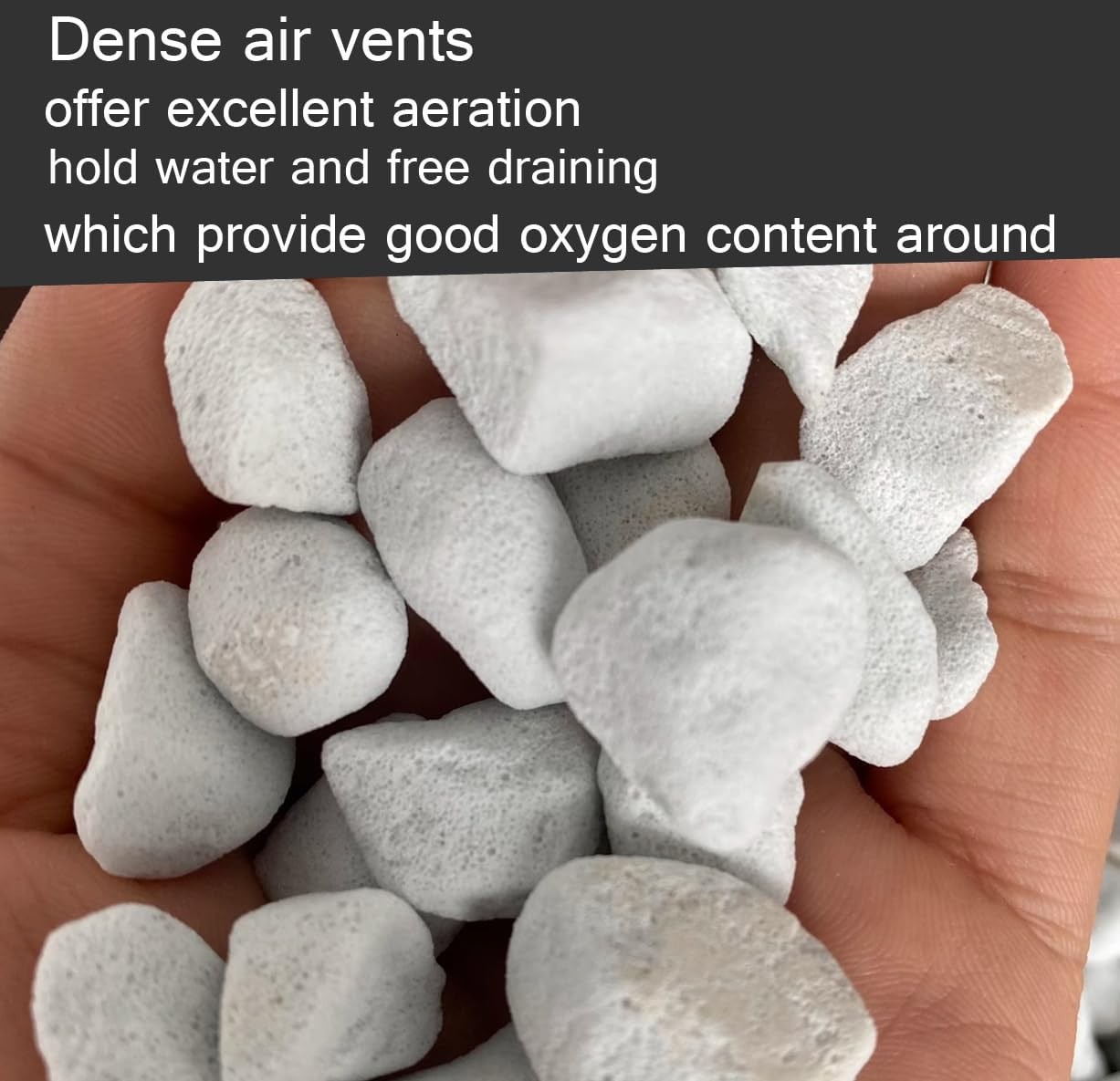 10QT Organic Perlite Horticultural Soil Amendment for Plants & Drainage
