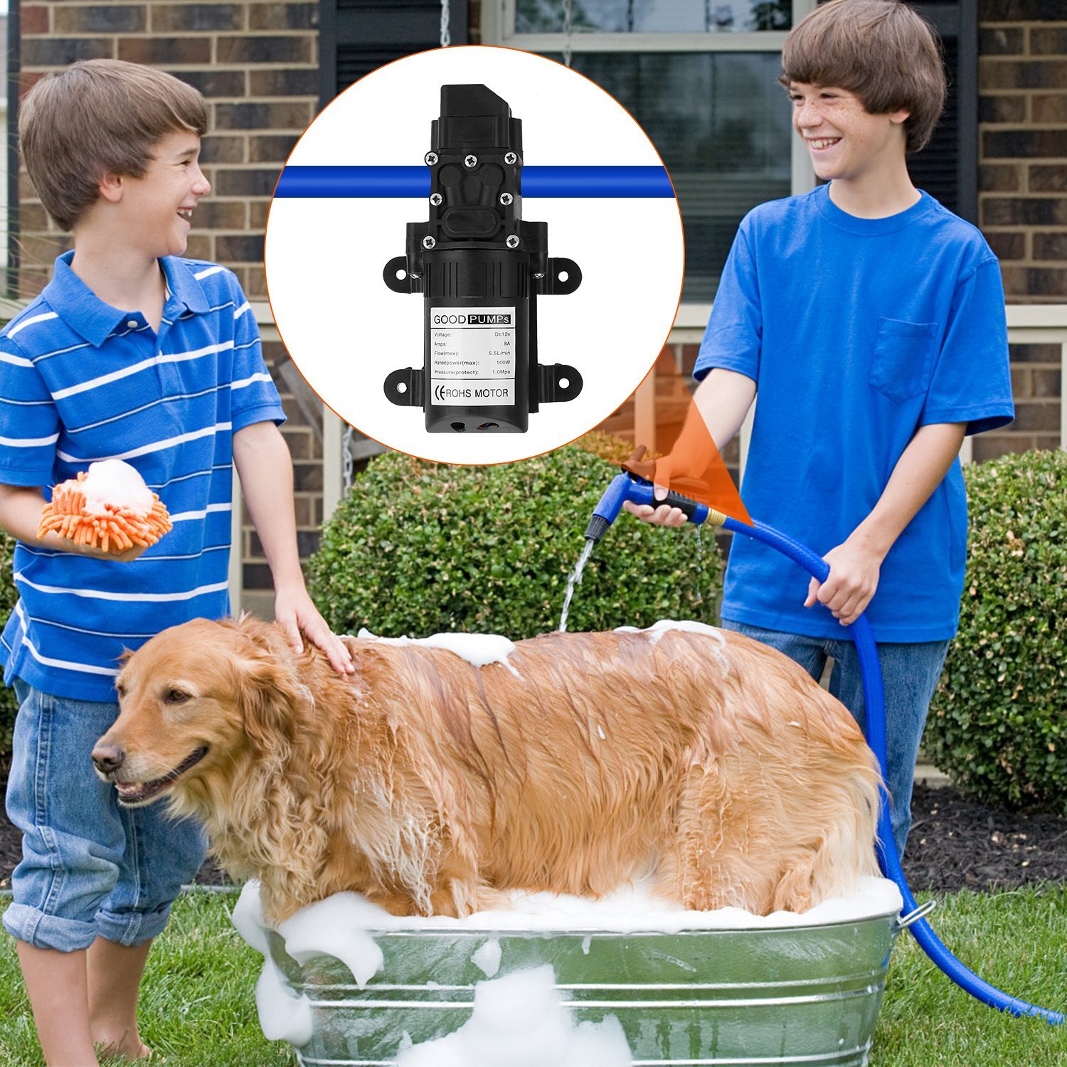 12V Self Priming Sprayer Pump Electric Diaphragm Water Pump with 2 Hose Clamps