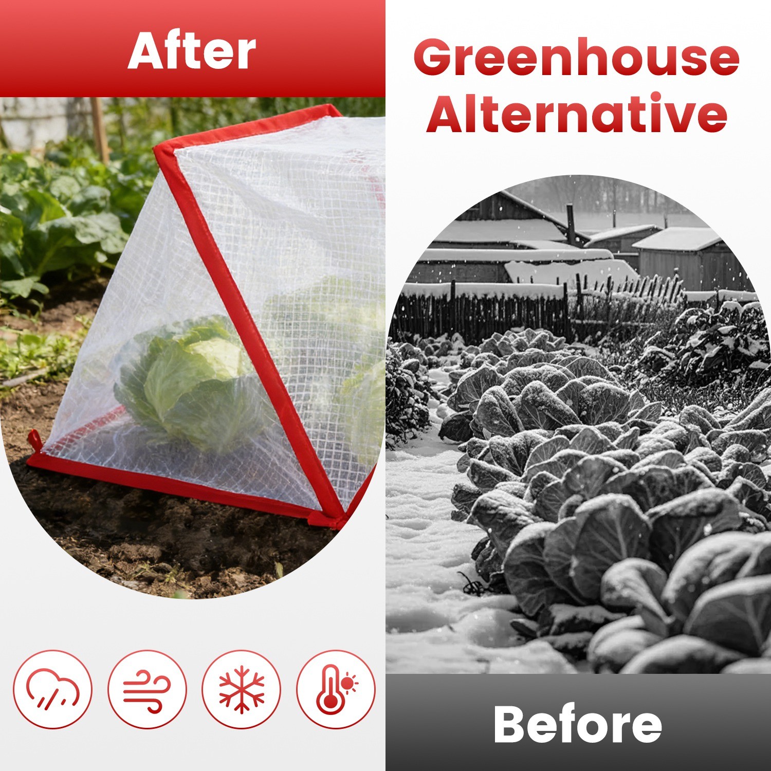 4Pcs Plants Covers Row Accelerator Greenhouse Covers Cage–31.50×12.99×13.39in