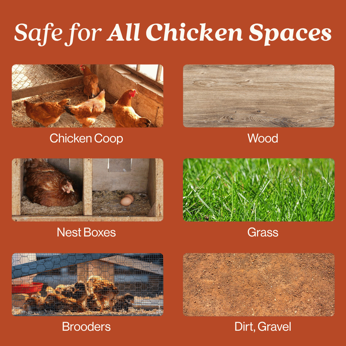 Chicken Coop Odor Eliminator