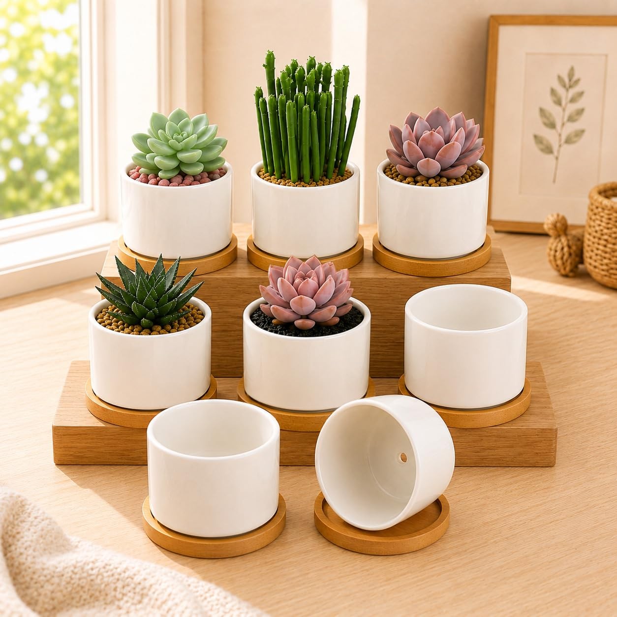Succulent Pots 3.1 Inch,8 Pack Succulent Planters,Small Pots for Plants with …