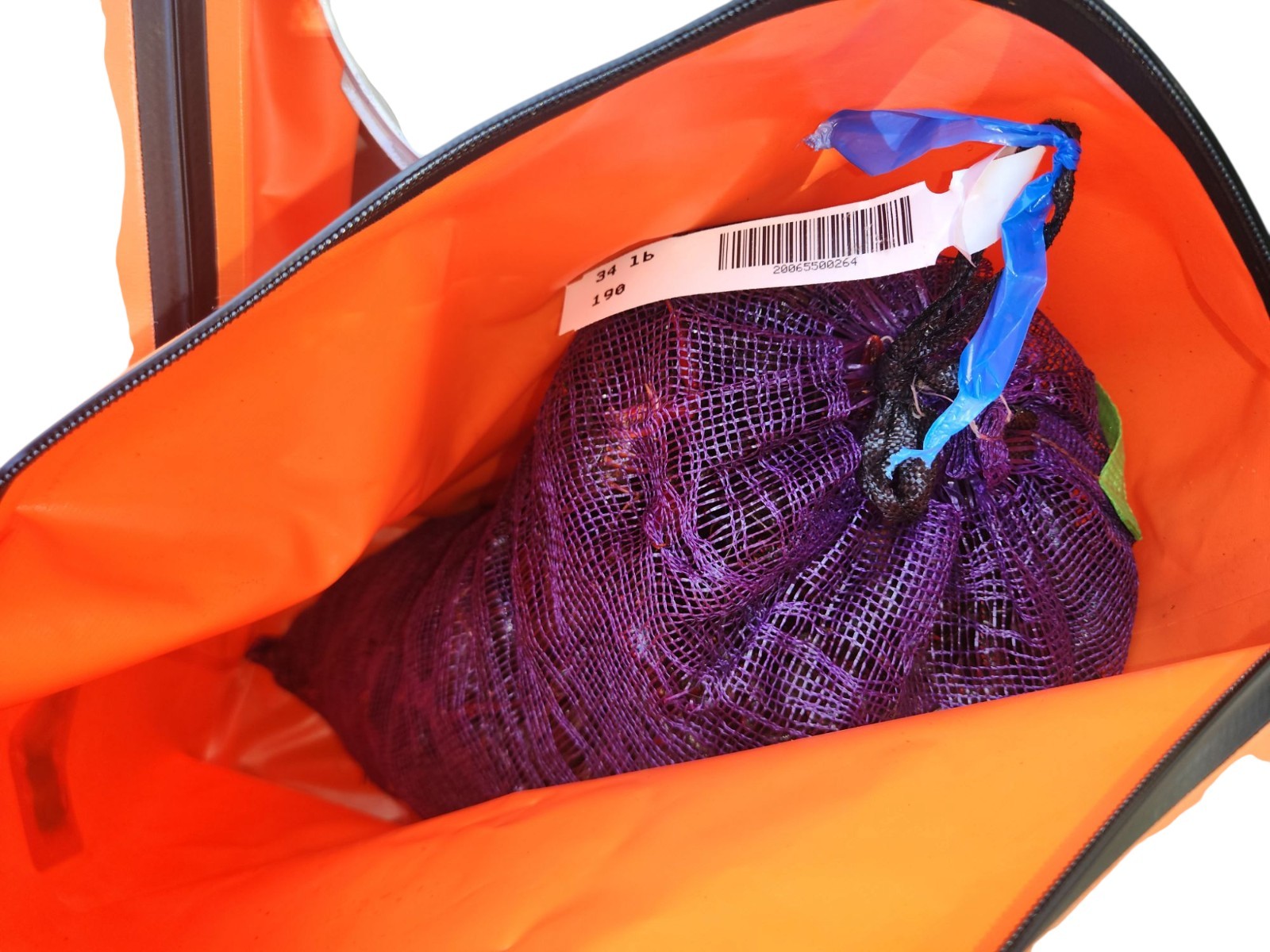 SACK-A-Sack baggage