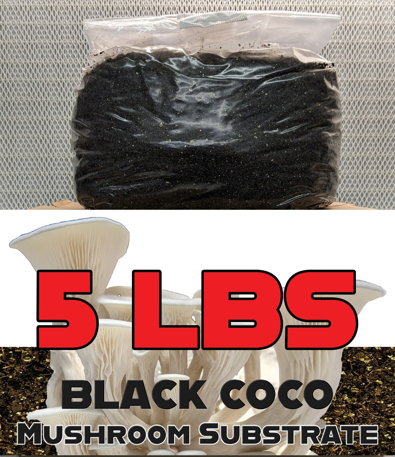 5 LBS Black Coco Mushroom Substrate