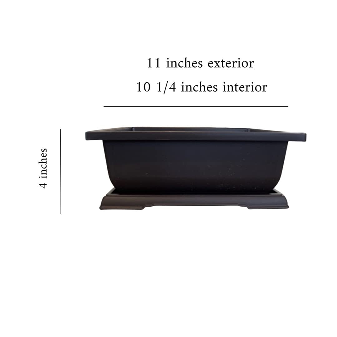 Large Bonsai Pot and Drip Tray – 11 inch Rectangle Container with Tray