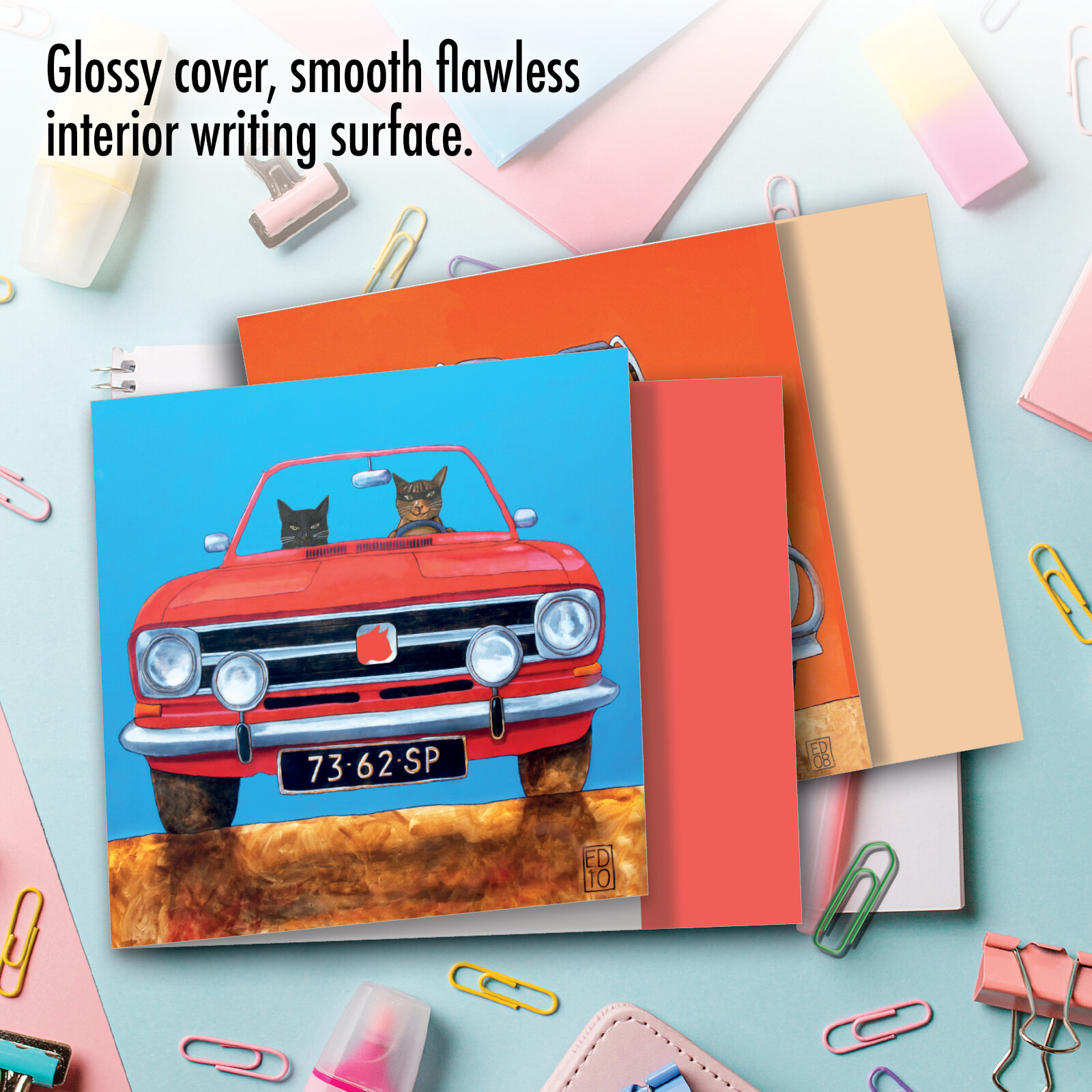 10 Assorted All Occasion Blank Note Cards Pack – Car Cats